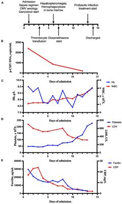 Concomitant Hemophagocytic Lymphohistiocytosis and Cytomegalovirus Disease: A Case Based Systemic Review